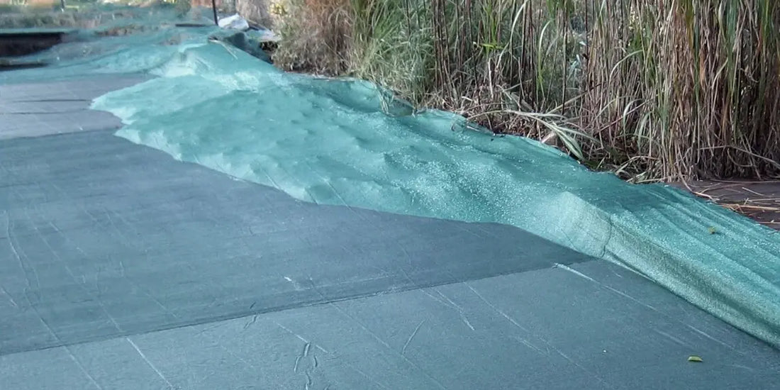 Teichnetz im Herbst: So schützen Sie Ihren Schwimmteich