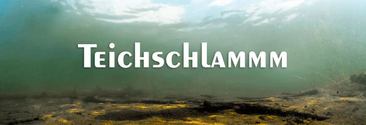 Die verschiedenen Methoden Teichschlamm zu entfernen
